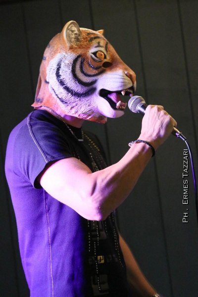 Tiger Dek