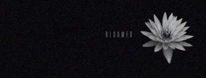 Bloomed (Demo new song 2018)