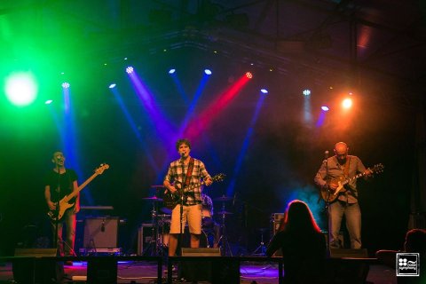 vins-t live copia.jpg