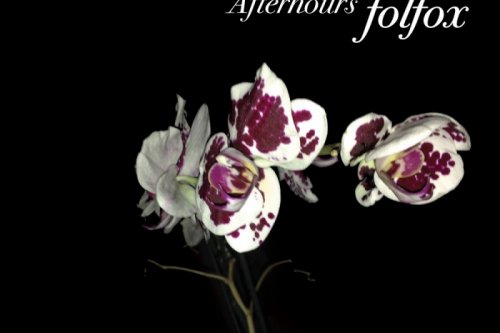 #3 Afterhours - Folfiri o Folfox (Germi/Universal)