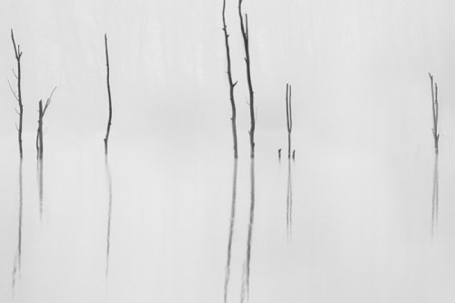 2 - Nebbia - Nico Cagarelli