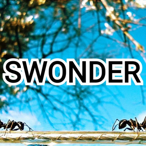 playlist cover