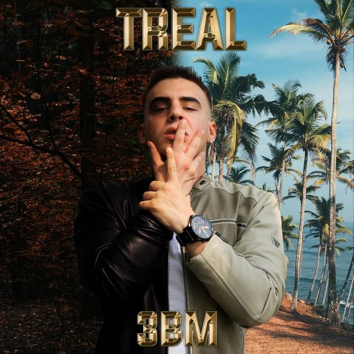 TReal cover