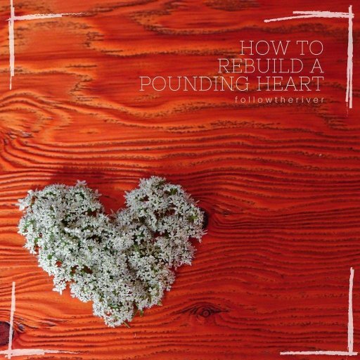 How To Rebuild A Pounding Heart - EP