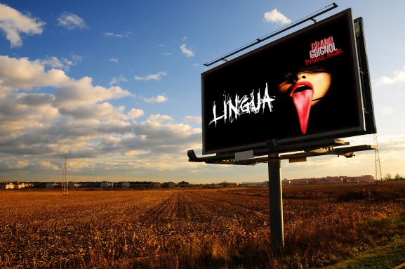 lingua deluxe billboard.jpg