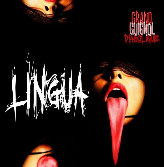 Lingua Deluxe FRONT cover.jpg