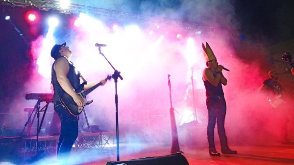 Animali di Zona | Gioconda | Litfiba cover