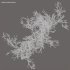 Abstract Toolkit