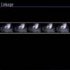 Linkage
