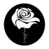 La Rosa Bianca
