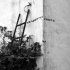 Progetto Zenith