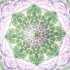 Cosmic Bloom