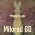 Milorad GD