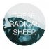 THESE RADICAL SHEEP