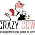 crazycow fest