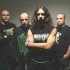Stillbirth