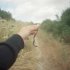 Synthetic Trees
