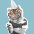 Party Animal