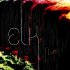Elk (electronic)