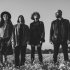 Soster Circus Prog