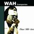 Wah Companion