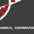 minimal_contemporary