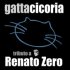 GattaCicoria