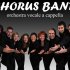 Chorus Band
