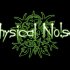 Physical Noise