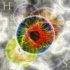 Hypnopompic State