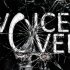 Voice Over