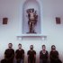 The Suricates