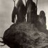Kafka On The Shore