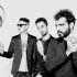 The Panicles