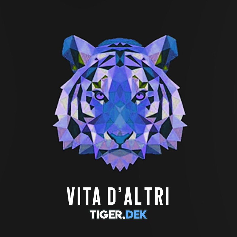 COVER Vita d'Altri di TIGER DEK.jpg