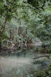 Bosco Magnano all'interno del Parco Nazionale del Pollino