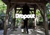 Dropout &ndash; foto stampa